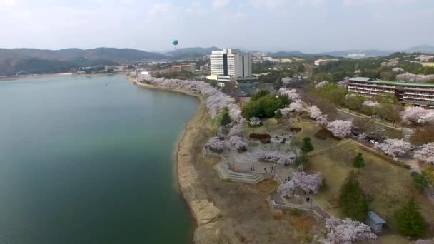 Heißluftballon Bomun Park Gyeongju Südkorea Asien Heißluftballon Bomun Park Gyeongju — Stockvideo