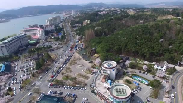 Molino Agua Estilo Coreano Grande Bomun Park Gyeingju Corea Del — Vídeos de Stock