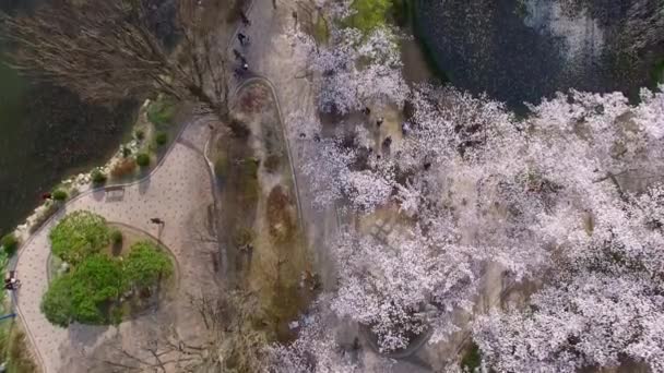 Bomun Pond of Bomun Park à Gyeongju, Corée du Sud, Asie / Bomun Pond of Bomun Park à Gyeongju, Corée du Sud, Asie quand Apr-03-2018 