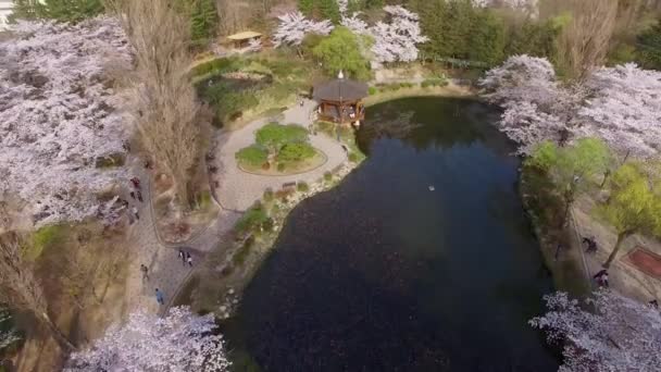 Bomun Vijver Van Bomun Park Gyeongju Zuid Korea Azië Bomun — Stockvideo