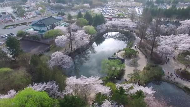 Estanque Bomun Del Parque Bomun Gyeongju Corea Del Sur Asia — Vídeo de stock