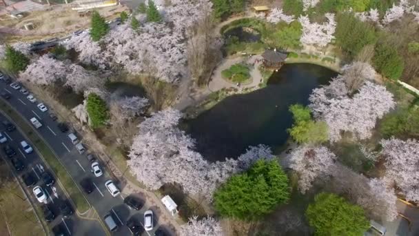 Estanque Bomun Del Parque Bomun Gyeongju Corea Del Sur Asia — Vídeos de Stock