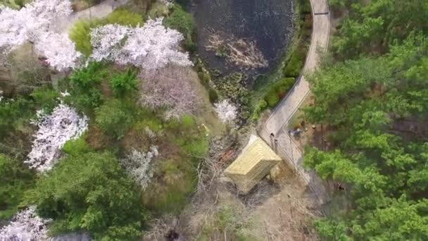 Estanque Bomun Del Parque Bomun Gyeongju Corea Del Sur Asia — Vídeo de stock