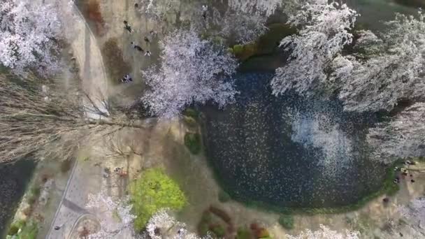 Bomun Pond of Bomun Park à Gyeongju, Corée du Sud, Asie / Bomun Pond of Bomun Park à Gyeongju, Corée du Sud, Asie quand Apr-03-2018 