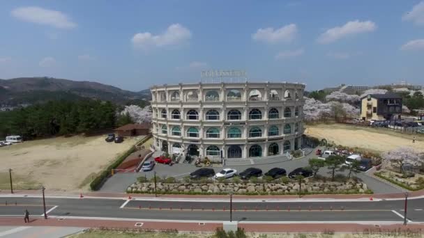 Κεράσι Ανθίσει Την Άνοιξη Του Γκάιεονγκγιου Σέντραλ Παρκ Gyeongju Νότια — Αρχείο Βίντεο