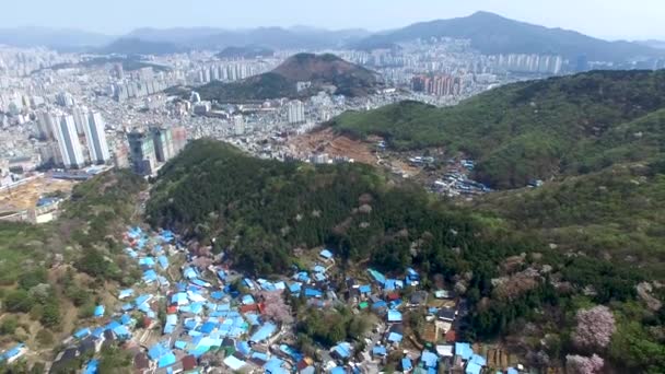 Våren Mulmangol Byn Busan Sydkorea Asien Våren Mulmangol Byn Busan — Stockvideo