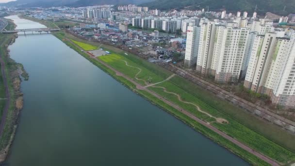 Yuchae Canola Bloem Bloeien Yangsancheon Yangsan Zuid Korea Azië Yuchae — Stockvideo