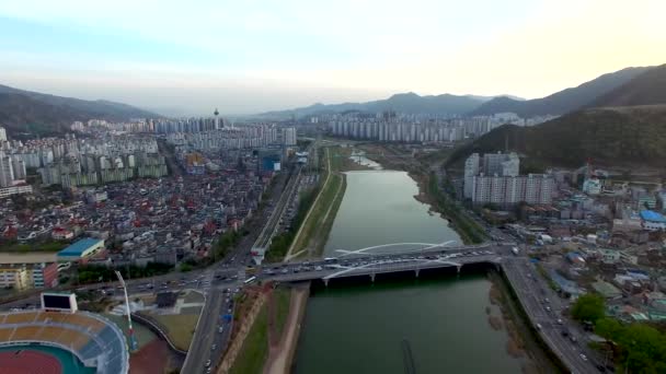 Yuchae 芥花开花于 Yangsancheon Yuchae 油菜花盛开于 Yangsancheon Gyeongsangnamdo 亚洲等 Apr 2018 — 图库视频影像