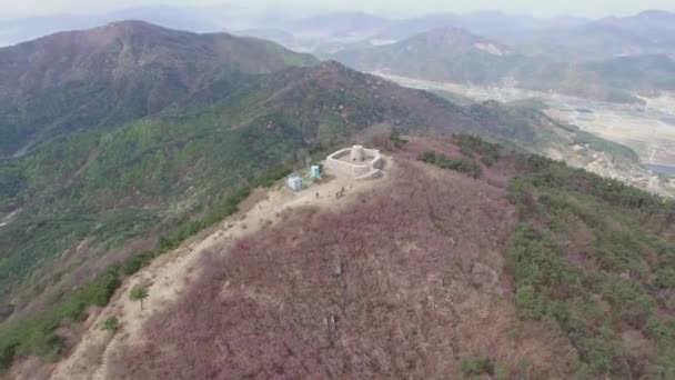 Jindallae Azalea Bloem Bloeien Jongnamsan Berg Milyang Zuid Korea Azië — Stockvideo