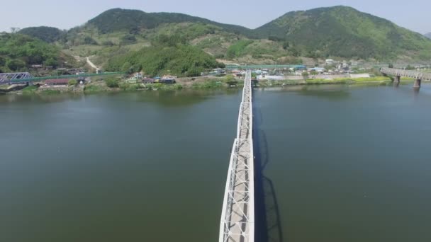 Olika Broar Nakdong Floden Mellan Samrangjin Och Gimhae Sydkorea Asien — Stockvideo