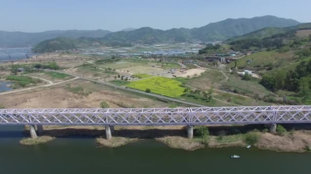 Yuchae Canola Bloem Bloeien Gimhae Railbike Gimhae Zuid Korea Azië — Stockvideo