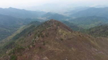 Biseul dağ, Daegu, Güney Kore, Asya Daegyeon Peak çiçek açan Jindalle açelya çiçeği