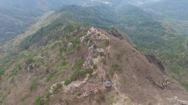 Biseul dağ, Daegu, Güney Kore, Asya Daegyeon Peak çiçek açan Jindalle açelya çiçeği — Stok video