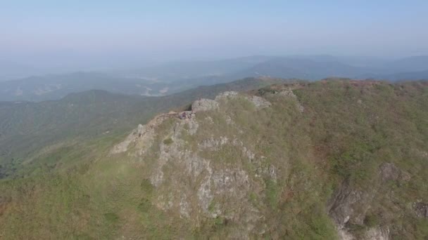 Cheoljjuk Royal Azalea Floreciendo Hwangmae Mountain Corea Del Sur Asia — Vídeos de Stock