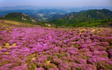 Hwangmae dağın, Güney Kore, Asya'nın peyzaj