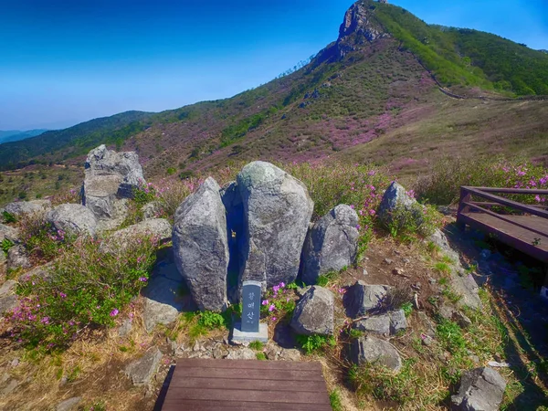 Τοπίο του βουνού Hwangmae, Νότια Κορέα, Ασία — Φωτογραφία Αρχείου