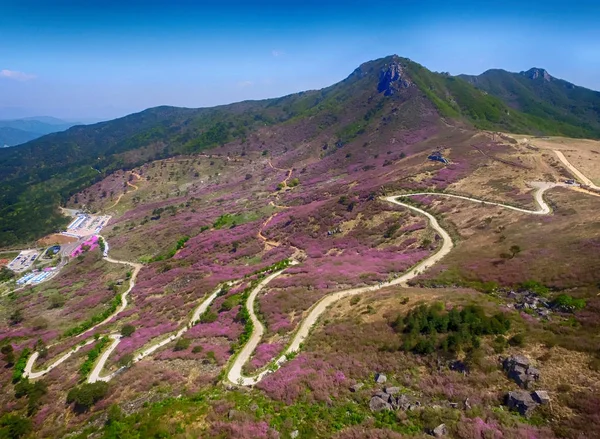 Landscape of Hwangmae Mountain, South Korea, Asia — Stock Photo, Image