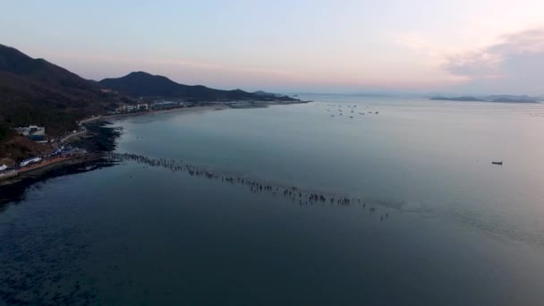 Vista Aérea Jindo Myterious Sea Route Jindo Jeonnam Corea Del — Vídeo de stock