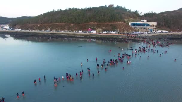 Letecký Pohled Jindo Myterious Sea Route Jindo Jeonnam Jižní Korea — Stock video