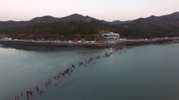 Вид Повітря Сіндо Myterious Sea Route Jindo Jeonnam South Korea — стокове відео