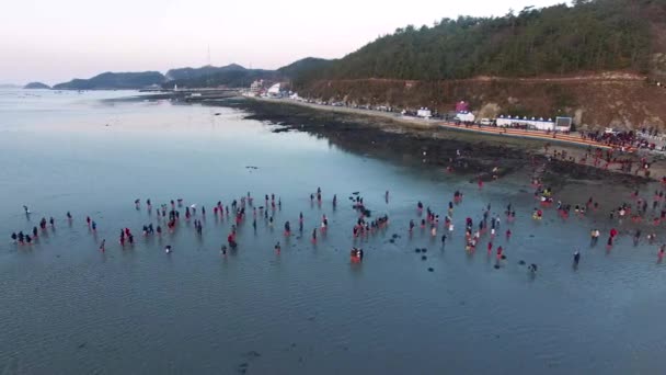 Vista Aérea Jindo Myterious Sea Route Jindo Jeonnam Corea Del — Vídeo de stock