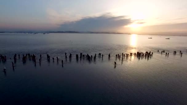 Luchtfoto Van Jindo Myterious Sea Route Jindo Jeonnam Zuid Korea — Stockvideo