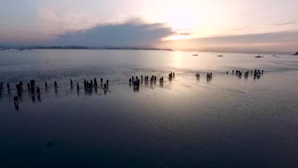Воздушный Вид Дзиндо Мянское Море Дзиндо Чоннам Южная Корея Азия — стоковое видео