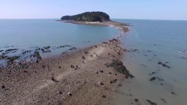 Luftaufnahme Des Muchangpo Strandes Boryeong Chungnam Südkorea Asien — Stockvideo