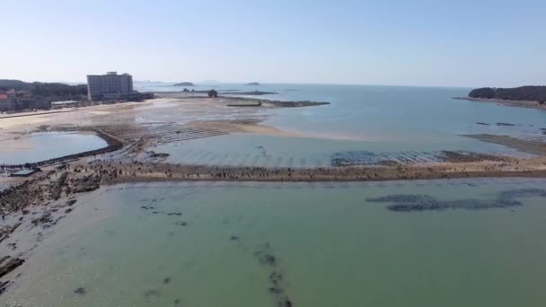 Luftaufnahme Des Muchangpo Strandes Boryeong Chungnam Südkorea Asien — Stockvideo