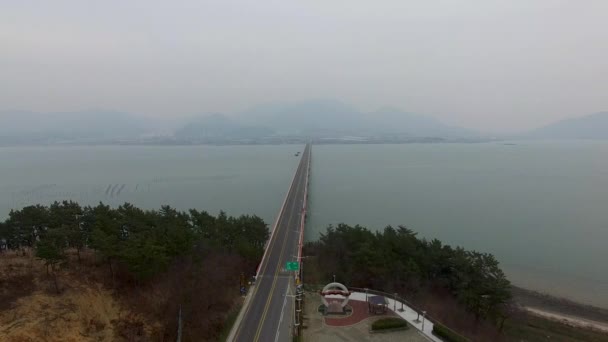 Veduta Aerea Del Ponte Sacheondaegyo Sacheon Gyeongnam Corea Del Sud — Video Stock