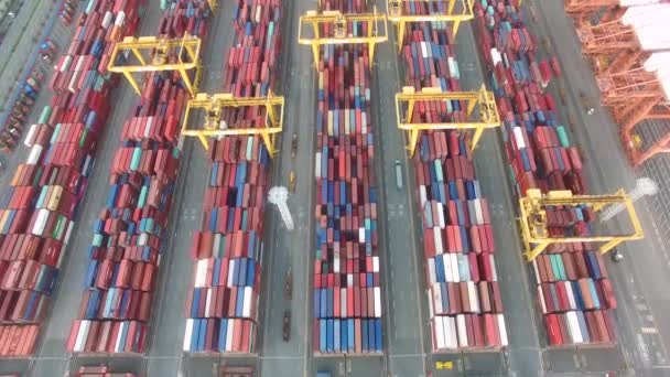 Luftaufnahme Des Containerhafens Busan Südkroea Asien — Stockvideo