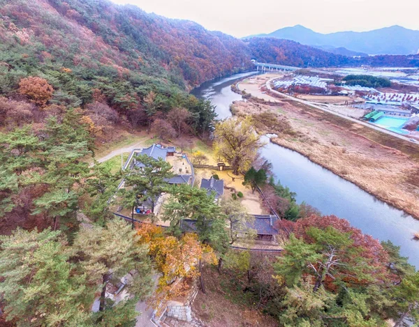 Aerial View of Golden Ginkgo Tree in Korean Traditional House, milyang, Korea — 스톡 사진