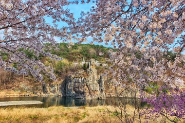 Aerial View of Seonbawi Seon Rock in Ulsan, South Korea, Asia