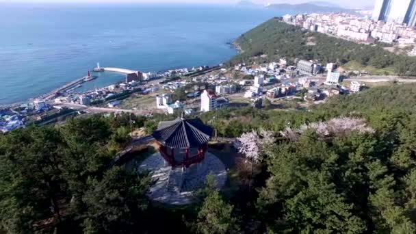 Pemandangan Udara Paviliun Haemaru Dan Pelabuhan Cheongsapo Haeundae Busan Korea — Stok Video