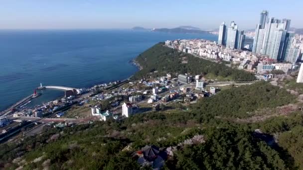 Vista Aérea Del Pabellón Haemaru Puerto Cheongsapo Haeundae Busan Corea — Vídeos de Stock