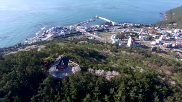 Vista Aérea Del Pabellón Haemaru Puerto Cheongsapo Haeundae Busan Corea — Vídeos de Stock