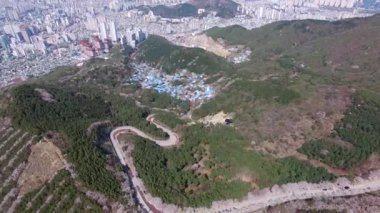 Hwangryeongsan Dağı, Busan, Güney Kore, Asya 'da Bahar Çiçekleri açıyor.