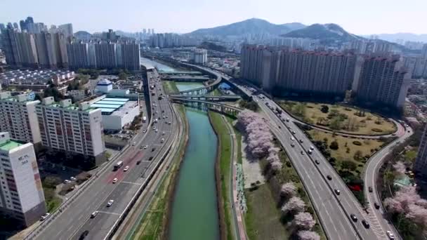 Widok Lotu Ptaka Kwitnie Rzece Suyeonggang Pusan Korea Południowa Azja — Wideo stockowe