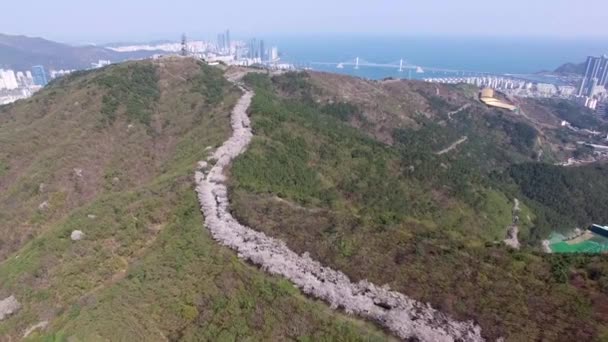 Весенние Паводки Расцветают Горе Хвангран Пусане Южная Корея Азия — стоковое видео