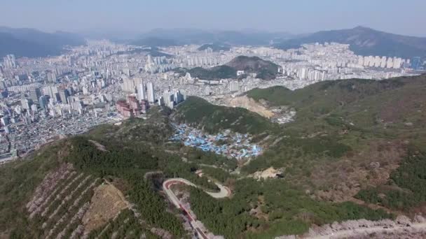 Jarní Květiny Kvetoucí Hwangryeongsan Mountain Busan Jižní Korea Asie — Stock video