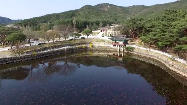 Aerial View Tongiljeon Gyeongju Gyeongbuk South Korea Asia — 비디오