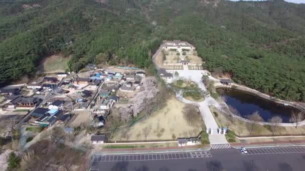 Aerial View Tongiljeon Gyeongju Gyeongbuk South Korea Asia — 비디오