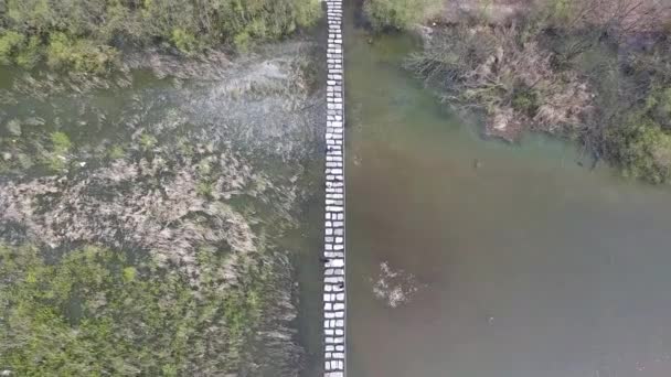 Aerial View Cherry Blossoms Blooming Bomun Park Gyeongju South Korea — 비디오