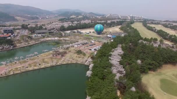 Luftaufnahme Von Kirschblüten Die Bomun Park Blühen Gyeongju Südkorea Asien — Stockvideo