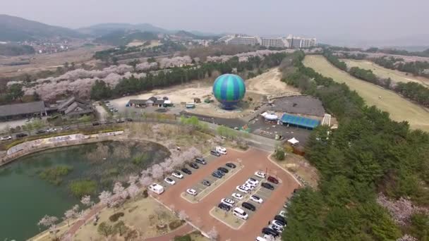 Luftaufnahme Von Kirschblüten Die Bomun Park Blühen Gyeongju Südkorea Asien — Stockvideo
