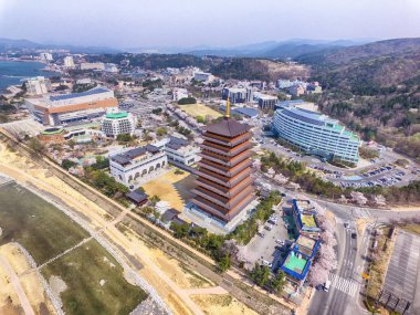 Bomun Park, Gyeongju, Kore ve Asya 'da Kiraz Çiçeklerinin Hava Görüntüsü.
