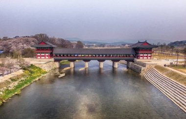 Gyochon Geleneksel Köyü 'nün Kiraz Çiçeği Baharı, Gyeongju, Kore