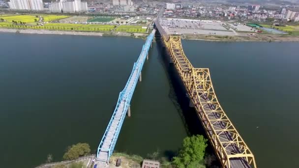 Vista Aérea Del Yuchae Canola Flower Festival Namji Changnyeong Gyeongnam — Vídeos de Stock