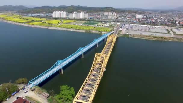 Luchtfoto Van Yuchae Canola Bloemenfestival Namji Changnyeong Gyeongnam Zuid Korea — Stockvideo