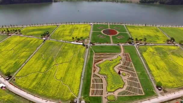 长江市 亚洲的玉柴佳能花节空中观景 — 图库视频影像